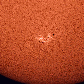 Large Sunspot 7 Nov 2020