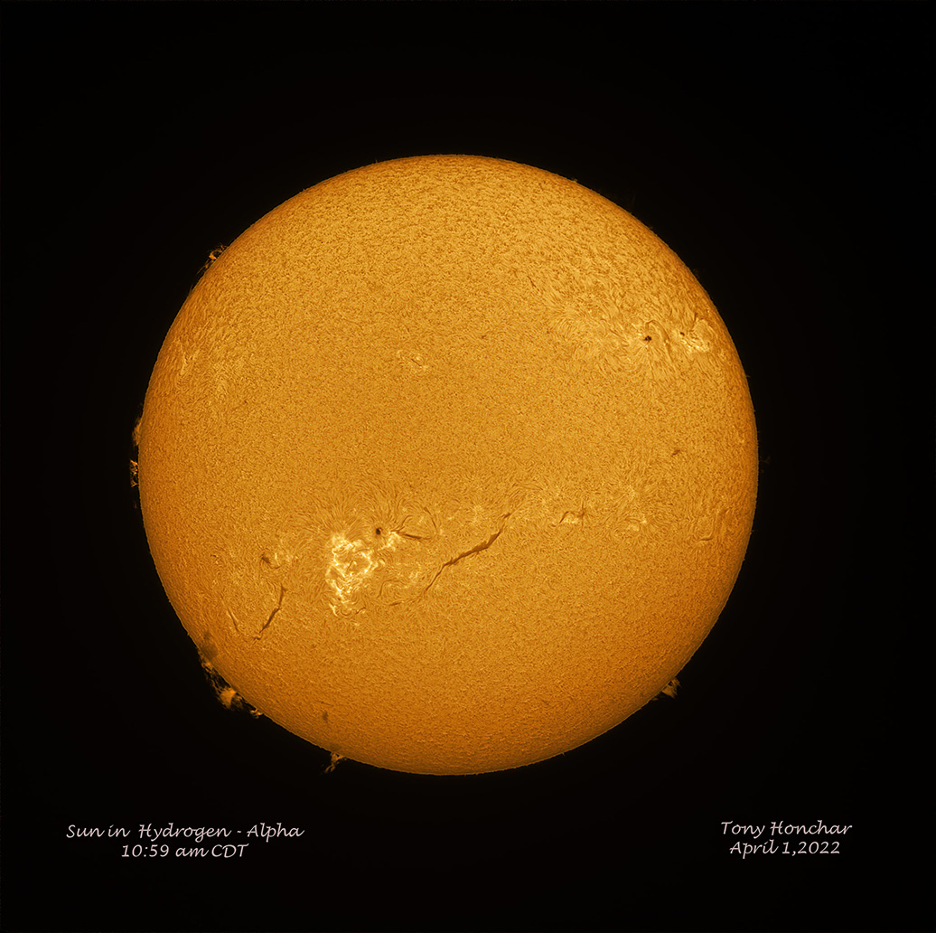 Sun in H-Alpha