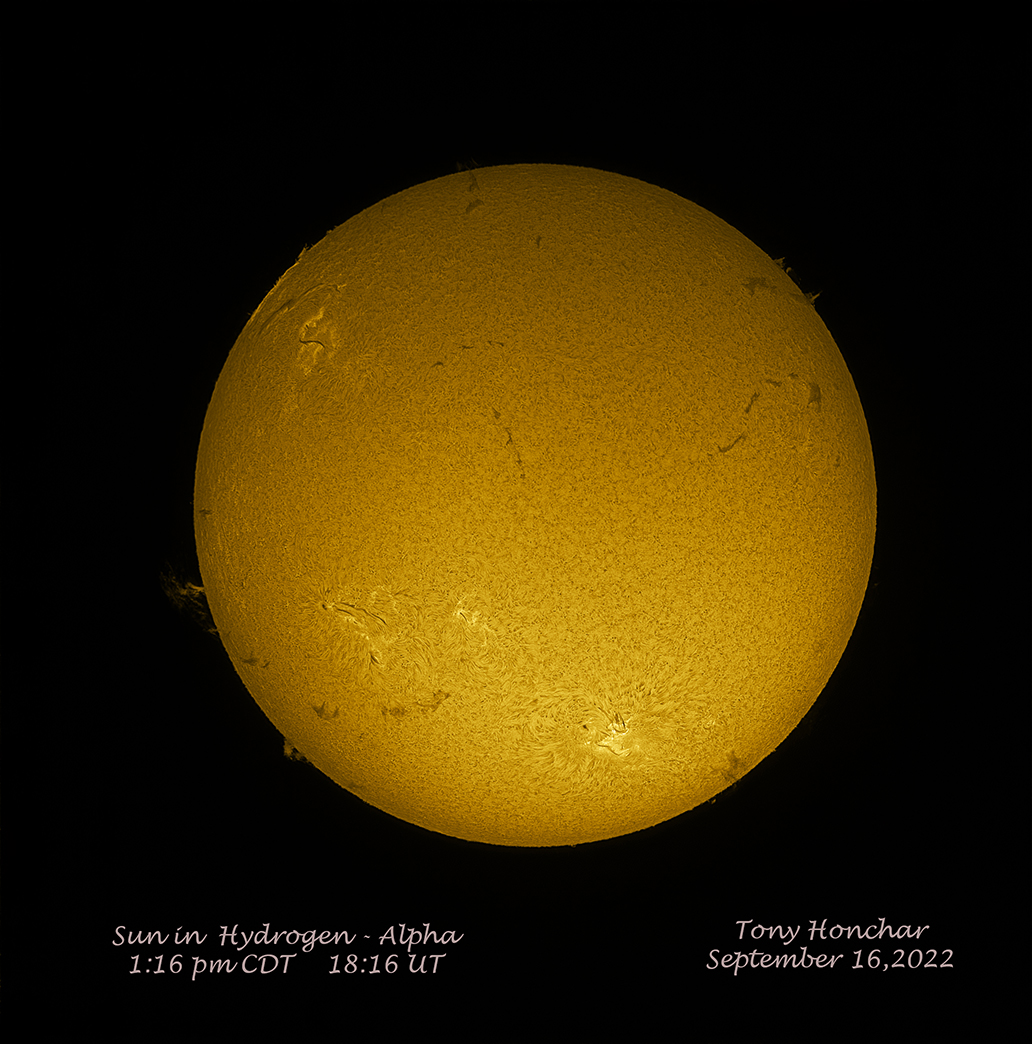 Sun in H-Alpha